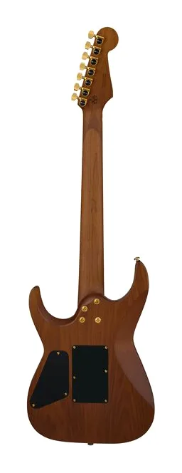 Charvel Angel Vivaldi PM DK24 GT7 Nat, selector de pastillas y jack de salida