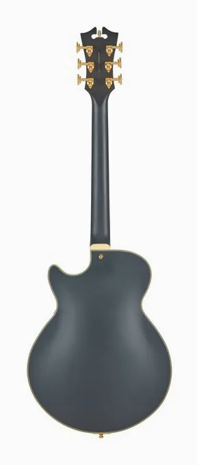 DAngelico Deluxe Bobby Weir 3 MS, cejuela y primeras posiciones del diapasón