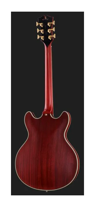 DAngelico Deluxe DC Satin Trans Wine, pastillas y mandos de control