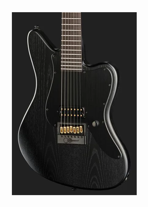 ESP LTD AW-XJ7B ET OG BLKS, selector de pastillas y jack de salida