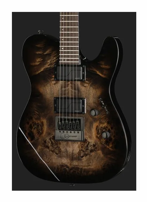 ESP LTD TE-1000ET Charcoal Burst, pala con clavijeros y logotipo