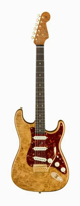 Fender Artisan Maple Burl Strat AN visto de frente