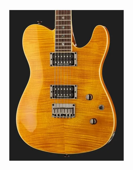 Fender Custom Telecaster FMT HH AM IL, vista trasera del cuerpo