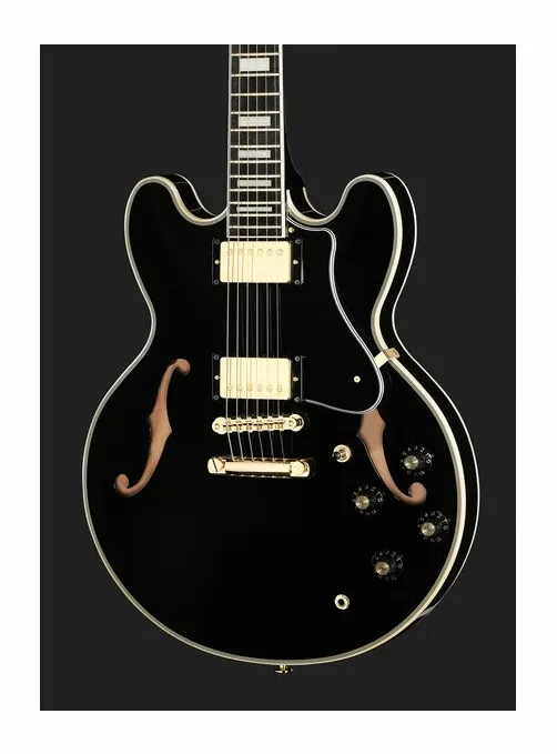 FGN Masterfield Semi Custom HH BK, pastillas y mandos de control