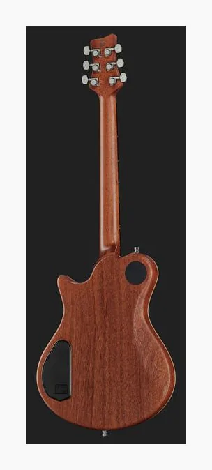 Framus Panthera II Supreme ATHPS, pastillas y mandos de control