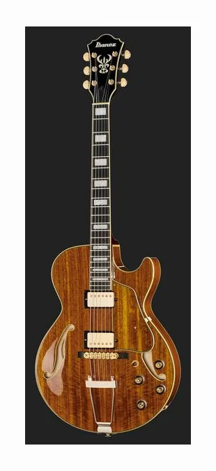 Ibanez AG95K-NT, pastillas y mandos de control
