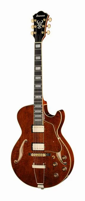 Ibanez AG95MG-DA en primer plano frontal