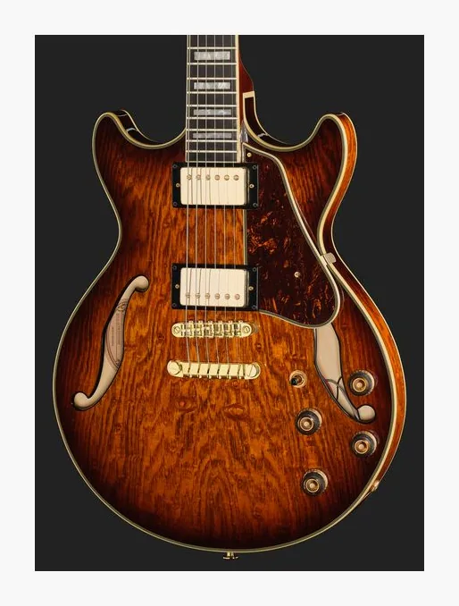 Ibanez AM93QA-VVH, pastillas y mandos de control