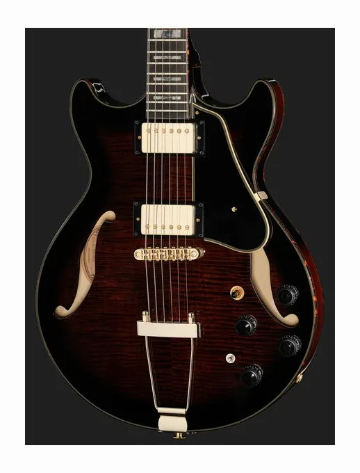 Ibanez AMH100FM-DVS, selector de pastillas y jack de salida