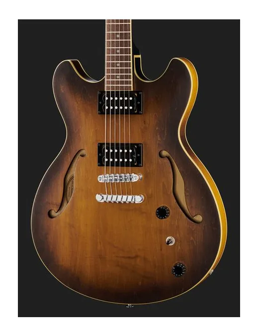 Ibanez AS53-TF, pastillas y mandos de control