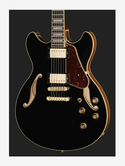 Ibanez AS93BC BK, selector de pastillas y jack de salida