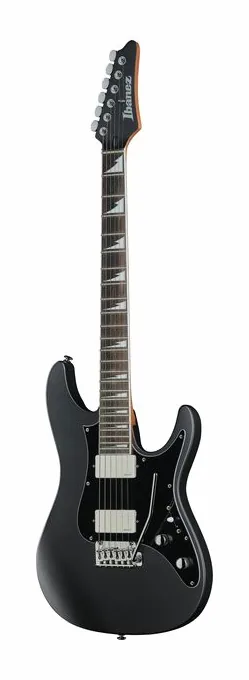 Ibanez BER10 Bernth Signature BK visto de frente