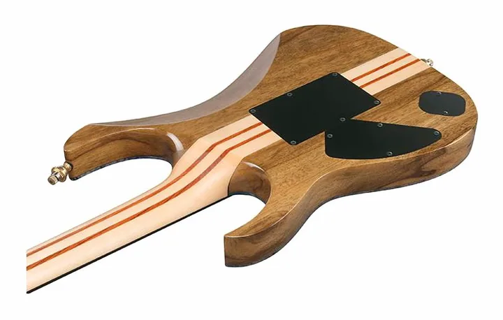 Ibanez IV2RG Visions RG, pala con clavijeros y logotipo