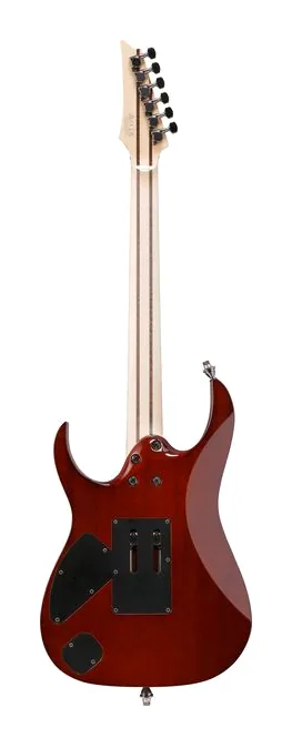 Ibanez j.custom RG8620AH-GFB, selector de pastillas y jack de salida