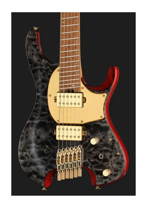 Ibanez MGFM10-OBL, pastillas y mandos de control