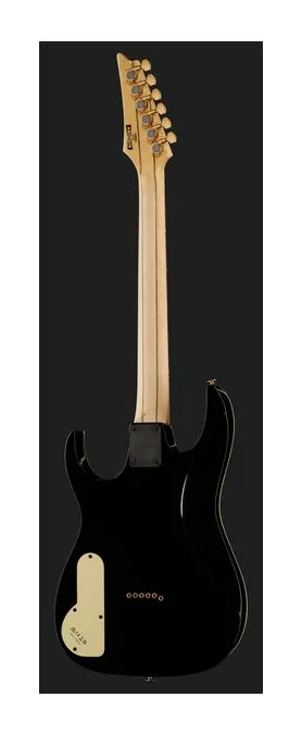 Ibanez PGM50-BK, pastillas y mandos de control