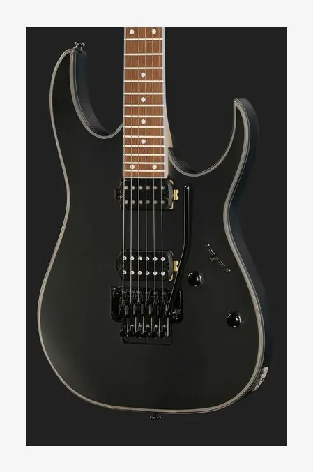 Ibanez RG420EX-BKF, pala con clavijeros y logotipo