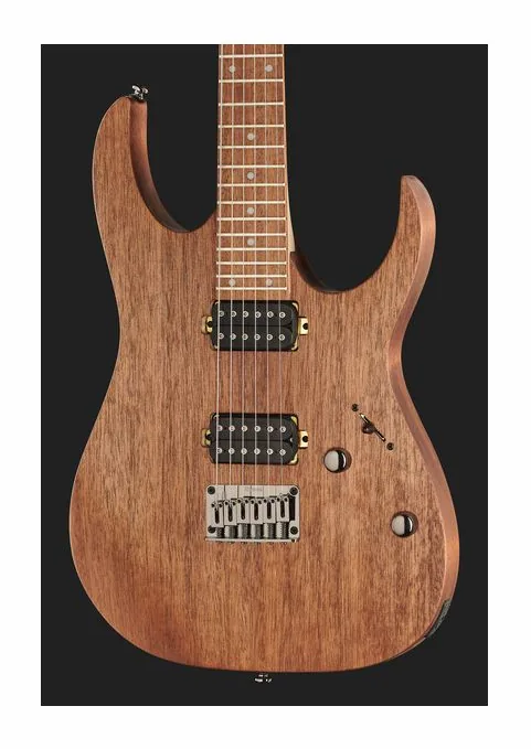 Ibanez RG421-MOL, selector de pastillas y jack de salida