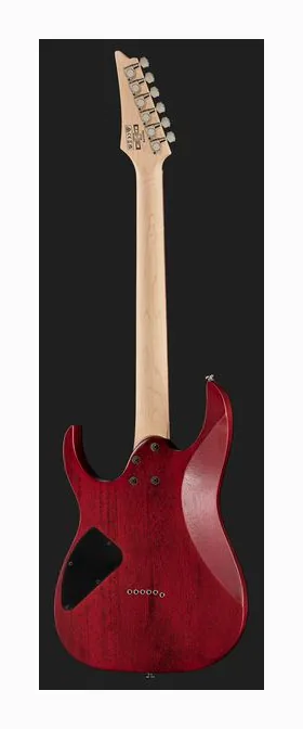 Ibanez RG421PB-CHF, pastillas y mandos de control