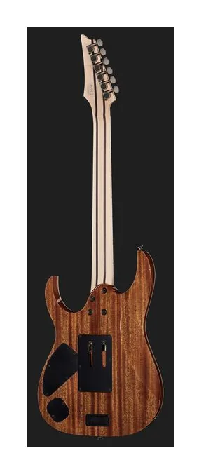 Ibanez RG5120M-FCN, selector de pastillas y jack de salida