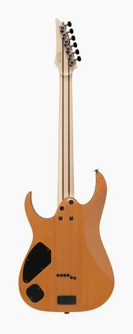 Ibanez RG5121R-DBF, selector de pastillas y jack de salida