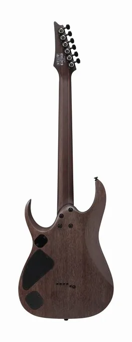 Ibanez RGD621AH-MNF, pala con clavijeros y logotipo
