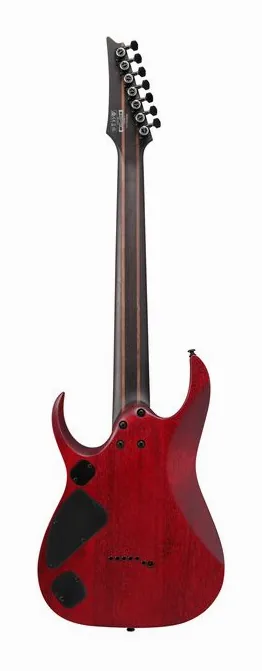 Ibanez RGD721FA-WUF, pastillas y mandos de control