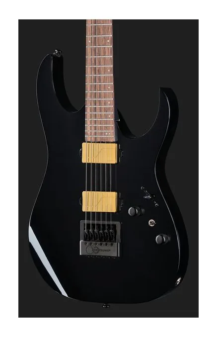 Ibanez RGR52ET-BK, selector de pastillas y jack de salida