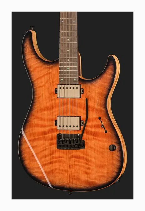 Mayones Guitars Aquila Elite V24 S6 Redwood BB, pastillas y mandos de control