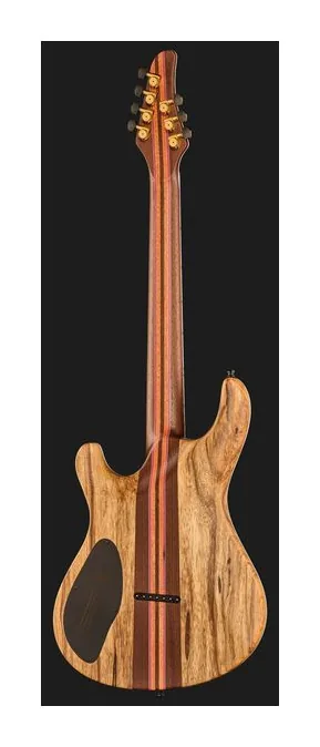 Mayones Guitars Regius Core 6 AMH, cuerpo y acabado en primer plano