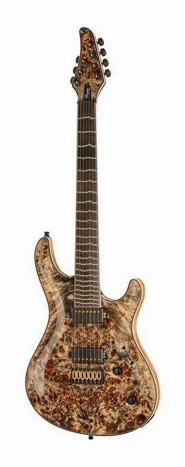 Mayones Guitars Regius Core 6 AMH fotografiado de frente