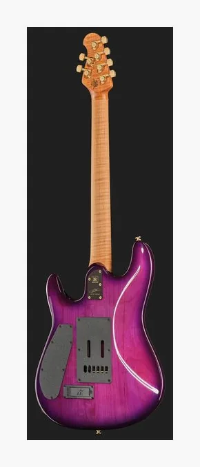 Music Man Jason Richardson Cutlass MP 6, selector de pastillas y jack de salida