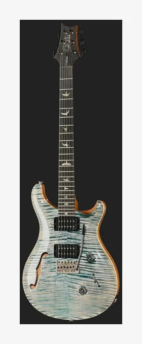PRS Artist Grade Custom 24 S/H FI, pastillas y mandos de control