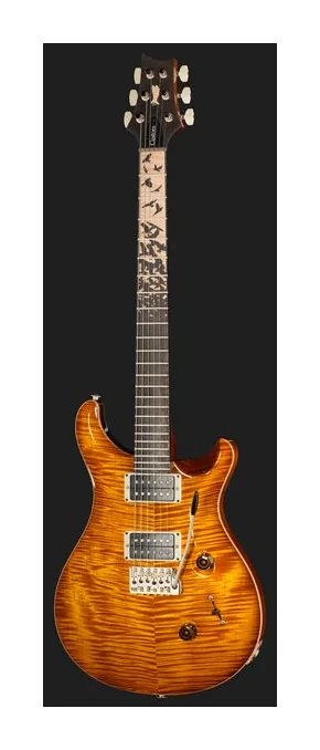 PRS Birds Of A Feather Custom 24 H, pala con clavijeros y logotipo