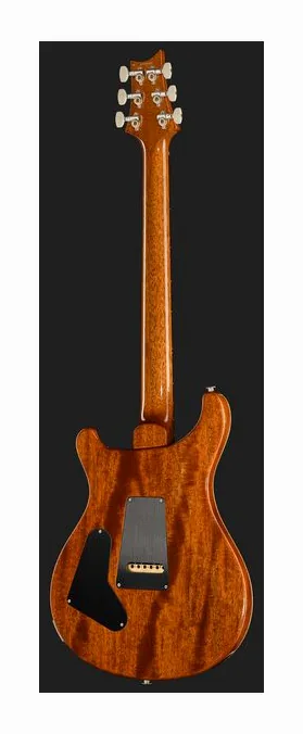 PRS Birds Of A Feather Custom 24 H, pastillas y mandos de control