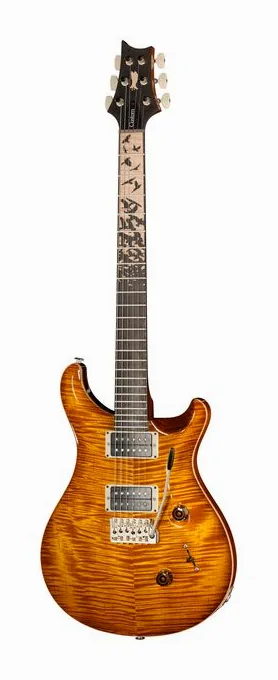 PRS Birds Of A Feather Custom 24 B encuadrado de frente sobre fondo neutro