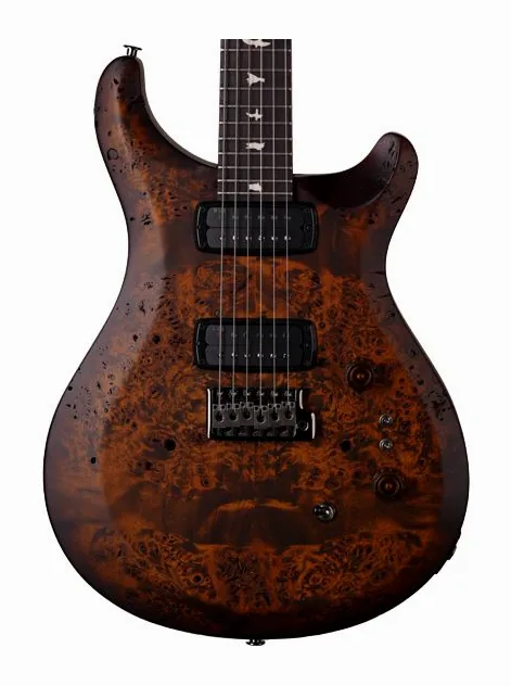 PRS Wood Library S2 Cust. 24-08 BG fotografiado de frente