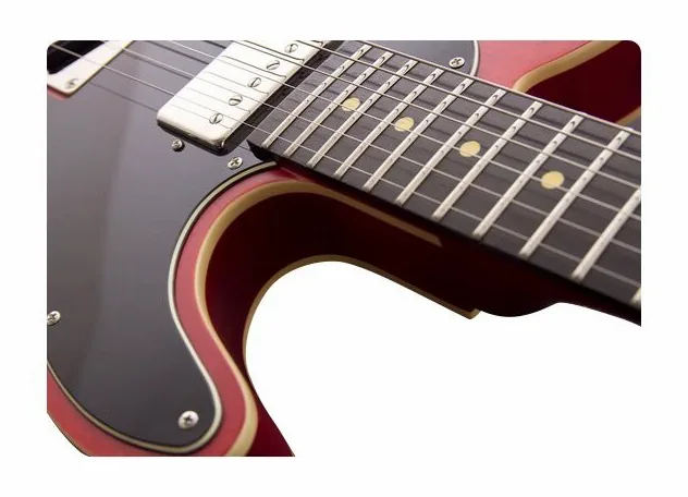 Reverend P.Anderson Eastsider Custom CC, selector de pastillas y jack de salida