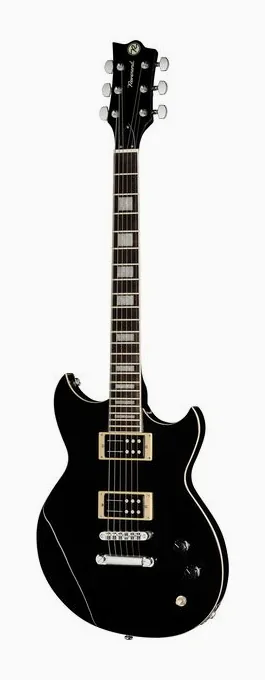 Reverend Robin Finck Midnight Black visto de frente