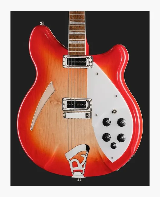 Rickenbacker 360 FG, pastillas y mandos de control