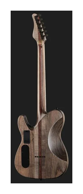 Schecter PT SLS Evil Twin, pastillas y mandos de control