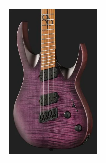 Solar Guitars A1.6FDPB-FF Flame Purple Burst, puente y clavijeros de afinación