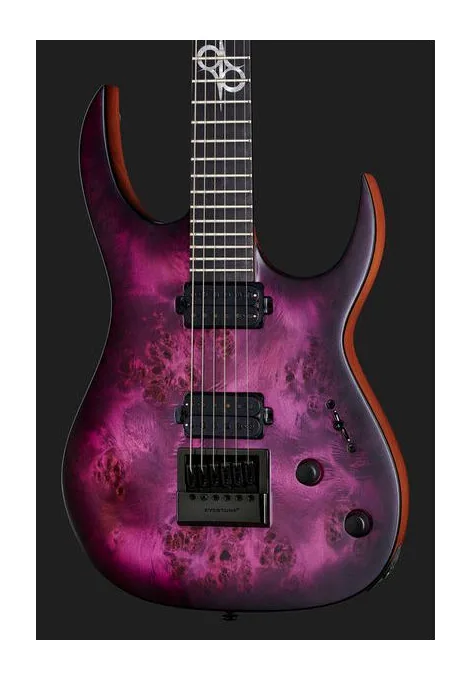Solar Guitars S1.6PP, pala con clavijeros y logotipo