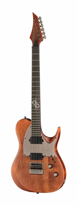 Solar Guitars T1.6AD Aged Natural visto de frente