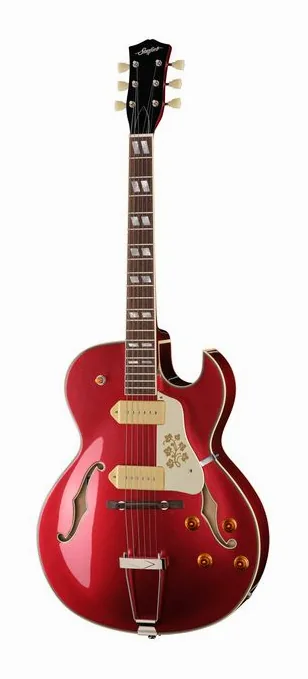 Stanford CR Fatboy GE 95 Bigsby B60 visto de frente